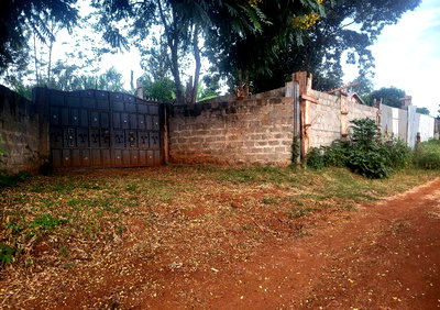 0.3 Acre Plot in Ruiru Murera Coffee