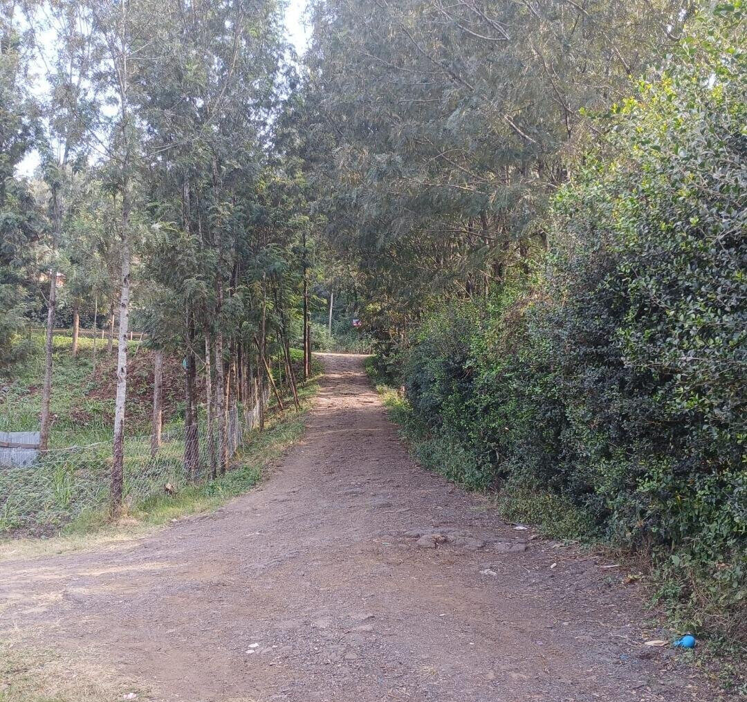 Quarter Acre Plot in Matasia