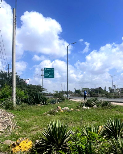 5-Acre Investment Land