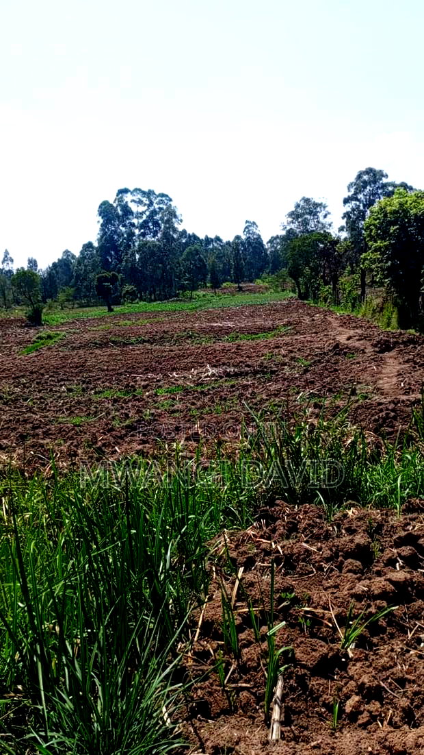 Residential Land in Kitale