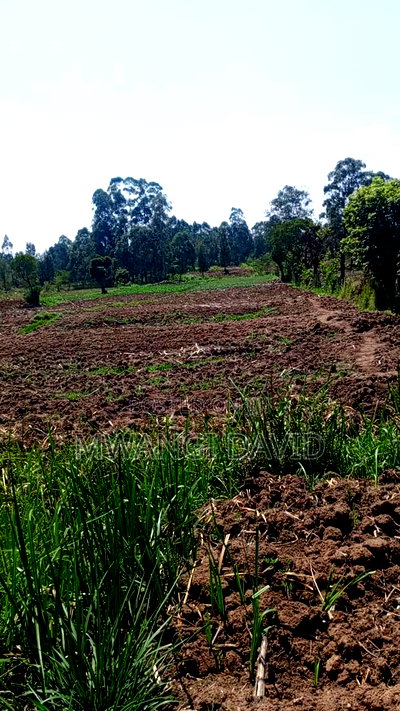 Residential Land in Kitale - Image 3
