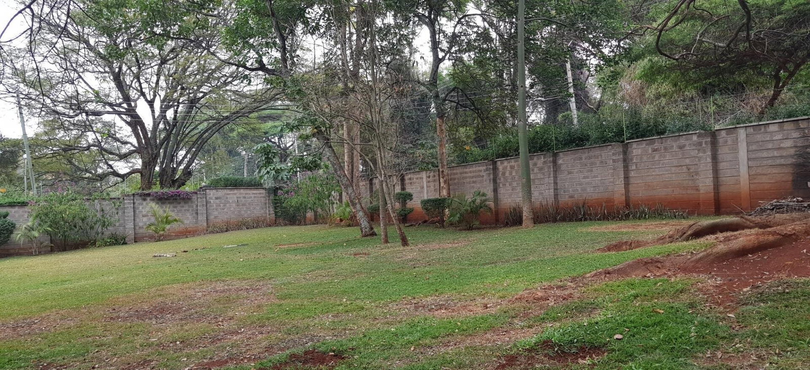 Private Guest Wing Home - Rosslyn