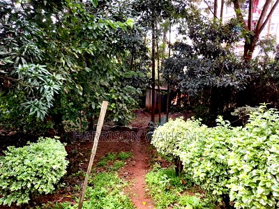 5bdrm Bungalow in Hilltop Road, Ngong for rent - Image 11
