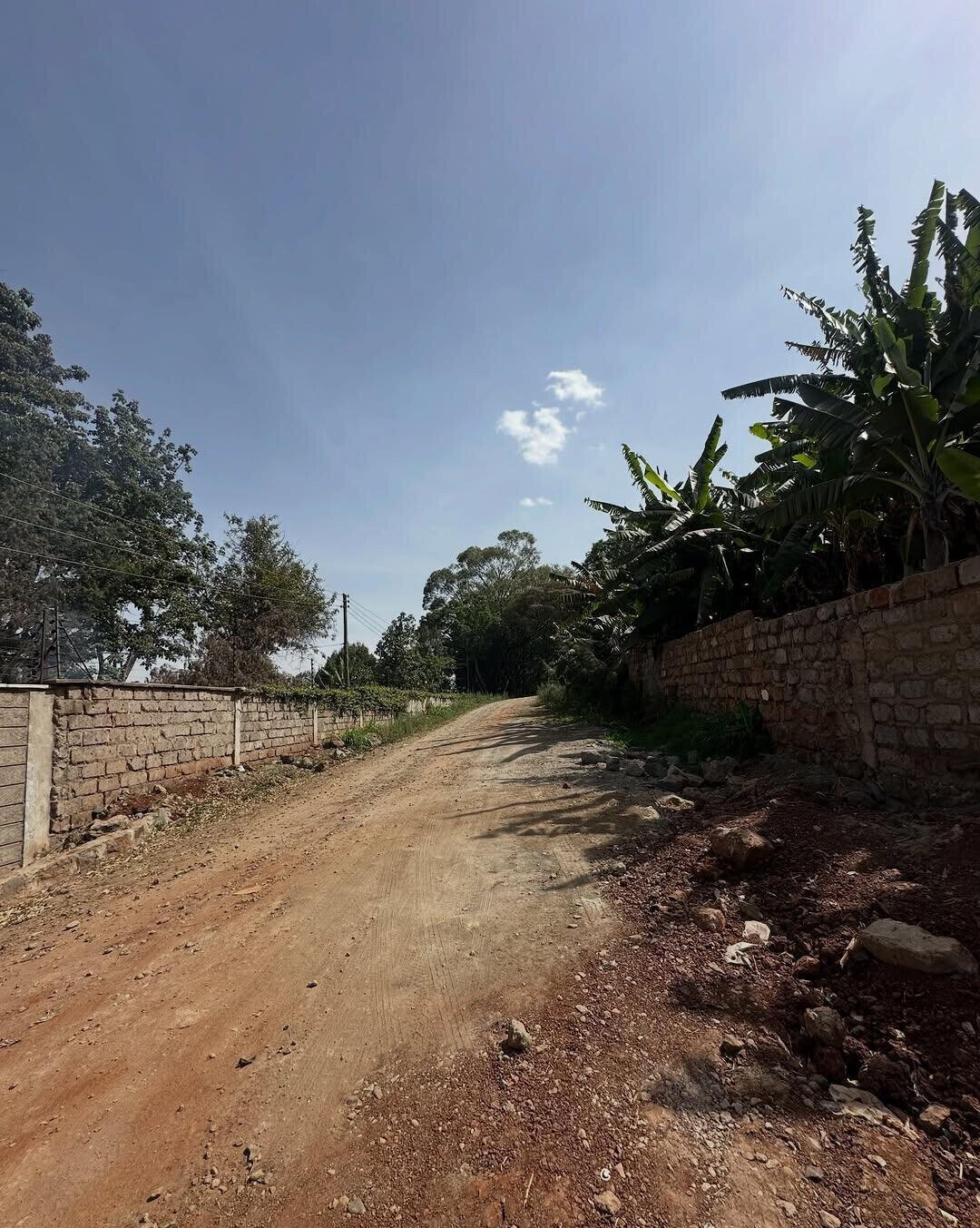 KSh 100M Serviced Plot in Karen