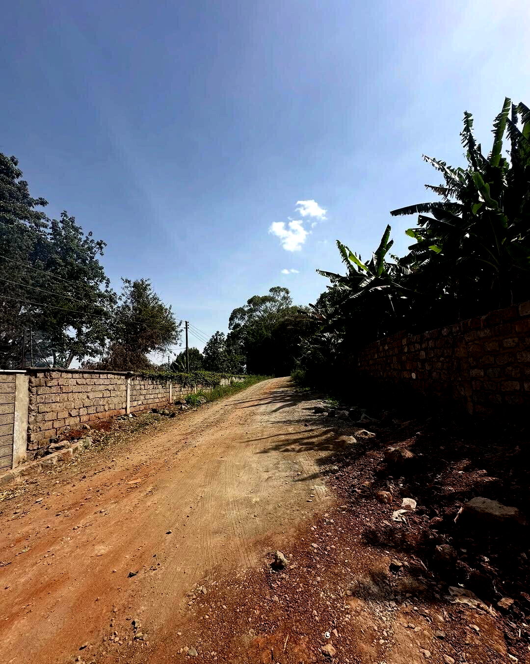 KSh 100M Serviced Plot in Karen