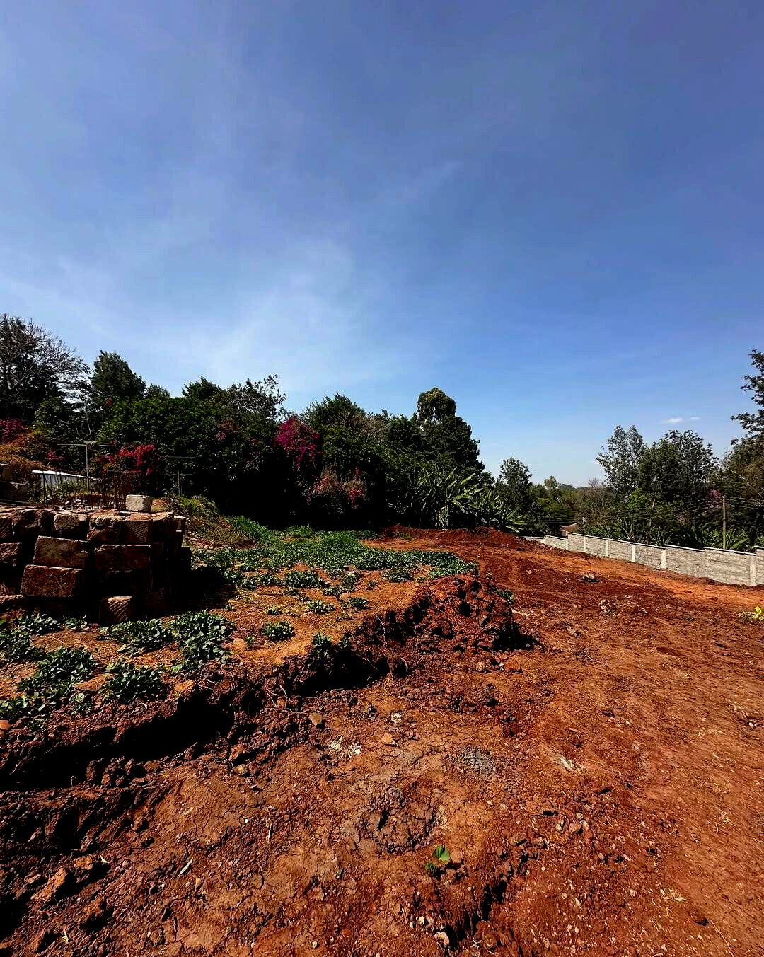 KSh 100M Serviced Plot in Karen