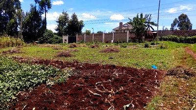 Kitisuru 4 Acres - Image 3