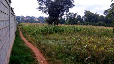 Kitisuru 4 Acres - Image 4