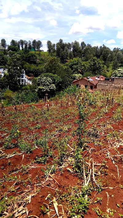 Kitisuru 4 Acres - Image 2