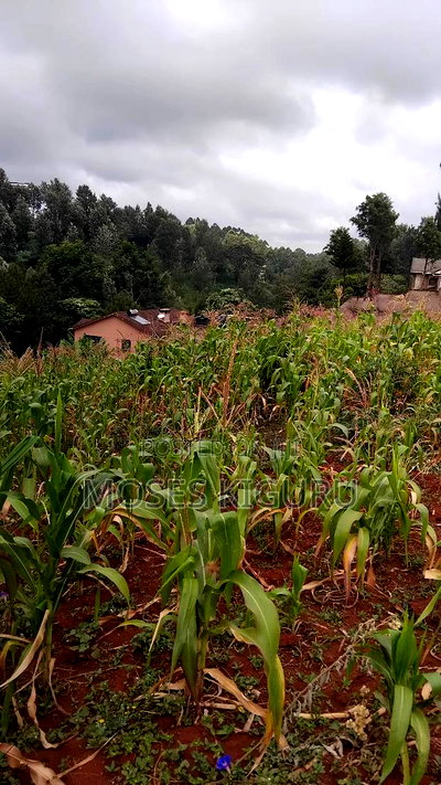 Kitisuru 4 Acres - Image 7