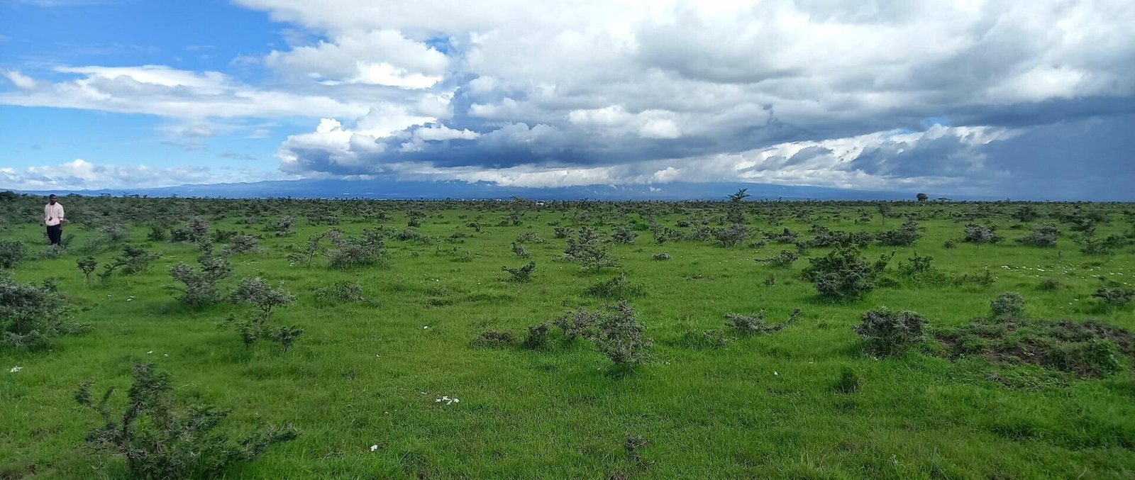 Pet Friendly 1/8 Acre Plot at KSh 280K