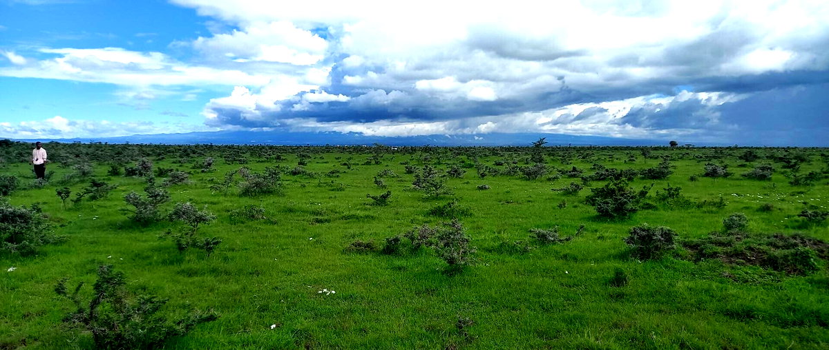 Pet Friendly 1/8 Acre Plot at KSh 280K