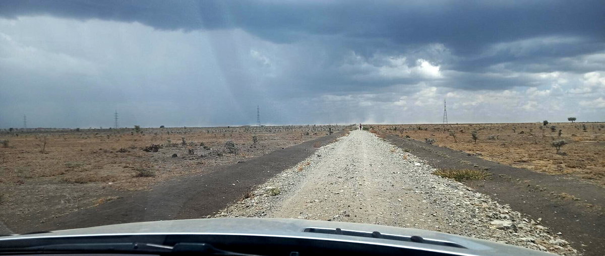 Pet Friendly 1/8 Acre Plot at KSh 280K