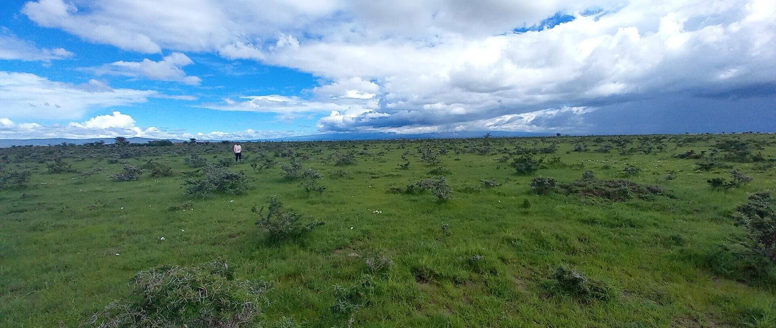 Pet Friendly 1/8 Acre Plot at KSh 280K