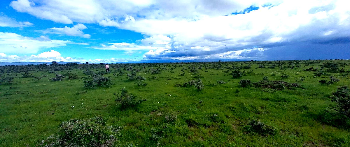 Pet Friendly 1/8 Acre Plot at KSh 280K