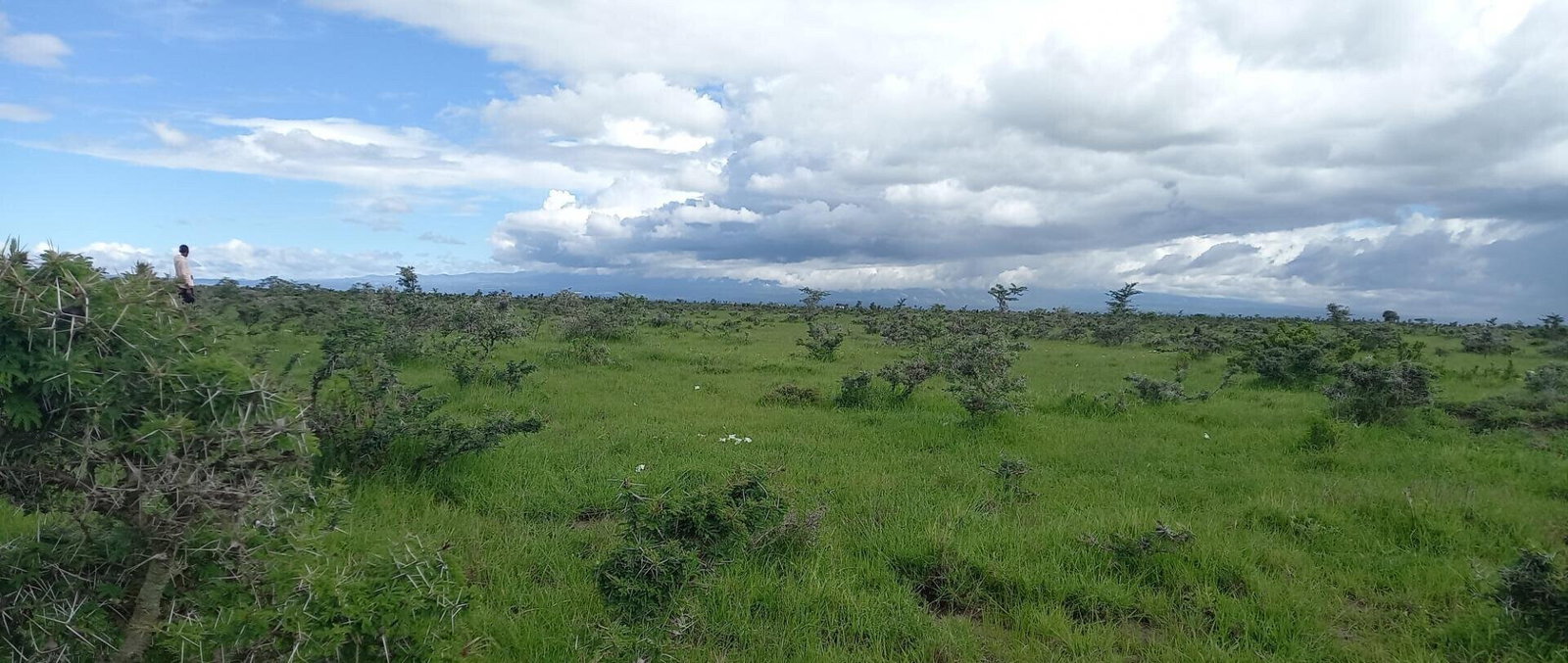 Pet Friendly 1/8 Acre Plot at KSh 280K