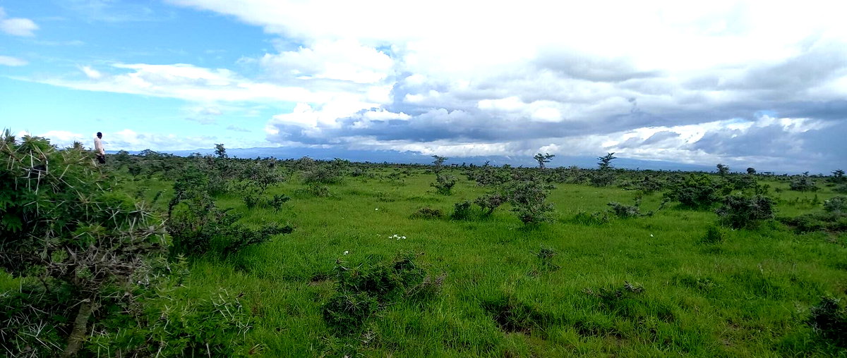 Pet Friendly 1/8 Acre Plot at KSh 280K