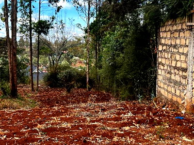 Prime 0.05ha Residential Plot for Sale in Kikuyu,Gikambura. - Image 12