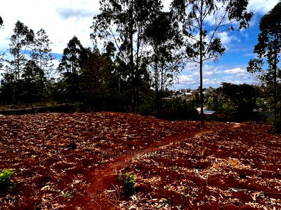 Prime 0.05ha Residential Plot for Sale in Kikuyu,Gikambura. - Image 3