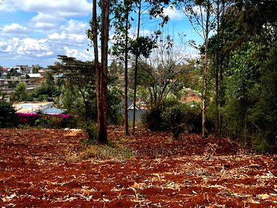Prime 0.05ha Residential Plot for Sale in Kikuyu,Gikambura. - Image 13