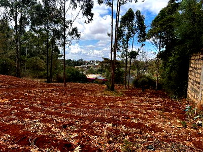 Prime 0.05ha Residential Plot for Sale in Kikuyu,Gikambura. - Image 14