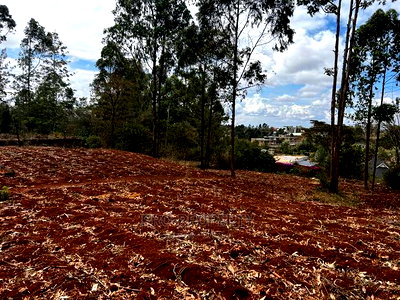 Prime 0.05ha Residential Plot for Sale in Kikuyu,Gikambura. - Image 5