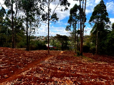 Prime 0.05ha Residential Plot for Sale in Kikuyu,Gikambura. - Image 11
