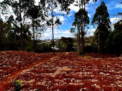Prime 0.05ha Residential Plot for Sale in Kikuyu,Gikambura. - Image 8