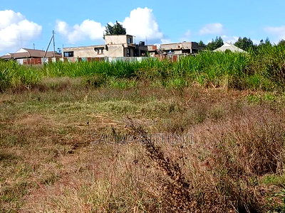 Prime50 by 100ft Residential Plot for Sale in Kikuyu,Kamangu - Image 6