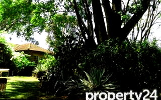 0.8 Acre Lavington Plot with Garden