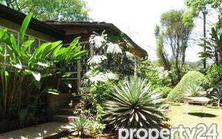 0.8 Acre Lavington Plot with Garden