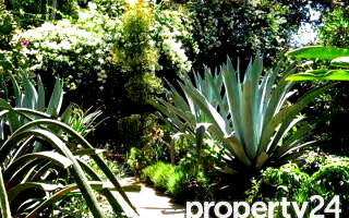 0.8 Acre Lavington Plot with Garden