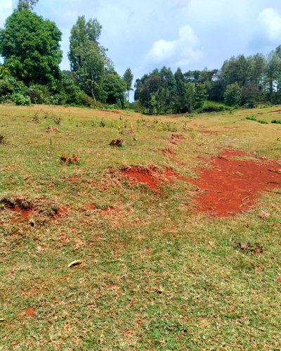 1/8 Acre Plot with Garden in Othaya