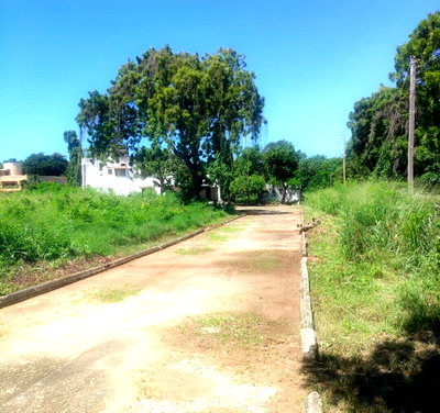 1.7-Acre Beach Land with Garden