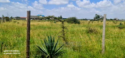 Katani: 2.5 Acres for Sale - Image 3