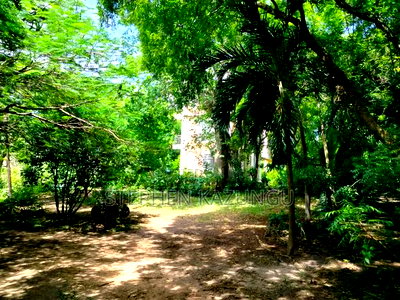 A 1.3/4 Acres Beach Plot on Sale in Diani Beach. - Image 9