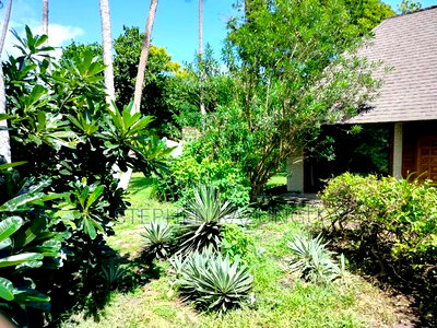 A 1.3/4 Acres Beach Plot on Sale in Diani Beach. - Image 10