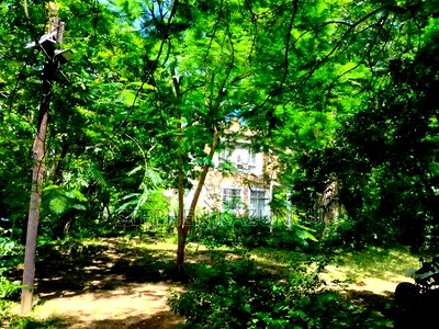 A 1.3/4 Acres Beach Plot on Sale in Diani Beach. - Image 1