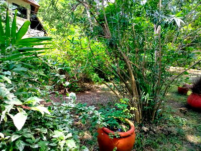 A 1.3/4 Acres Beach Plot on Sale in Diani Beach. - Image 11