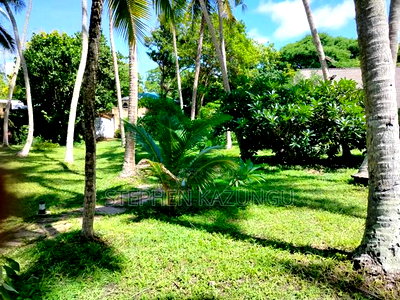A 1.3/4 Acres Beach Plot on Sale in Diani Beach. - Image 6