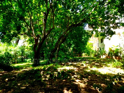 A 1.3/4 Acres Beach Plot on Sale in Diani Beach. - Image 4