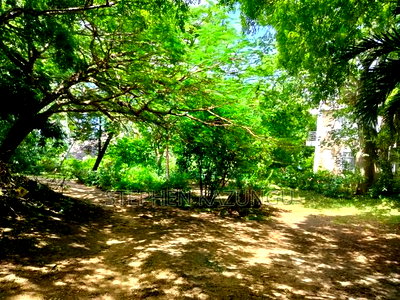 A 1.3/4 Acres Beach Plot on Sale in Diani Beach. - Image 5