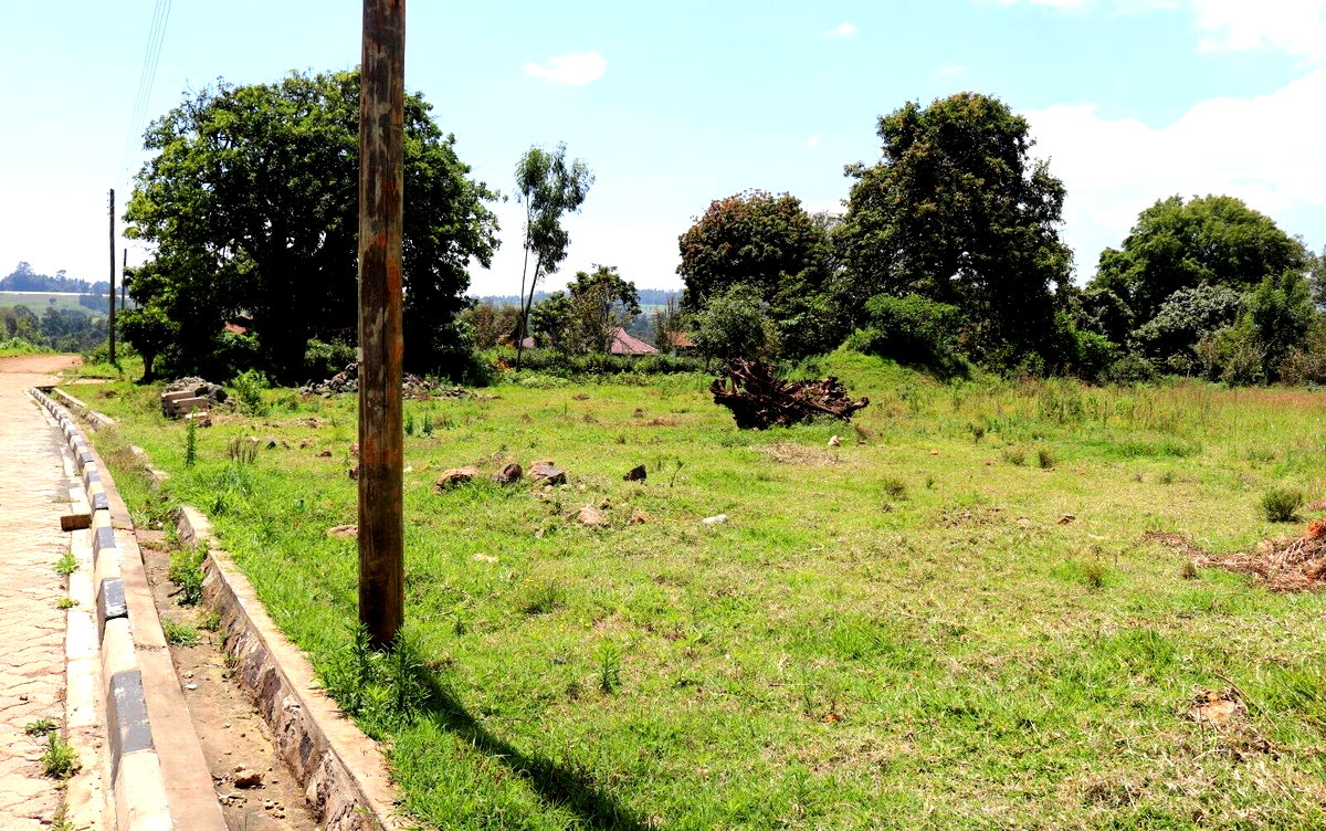 Half Acre Garden Land in Tigoni
