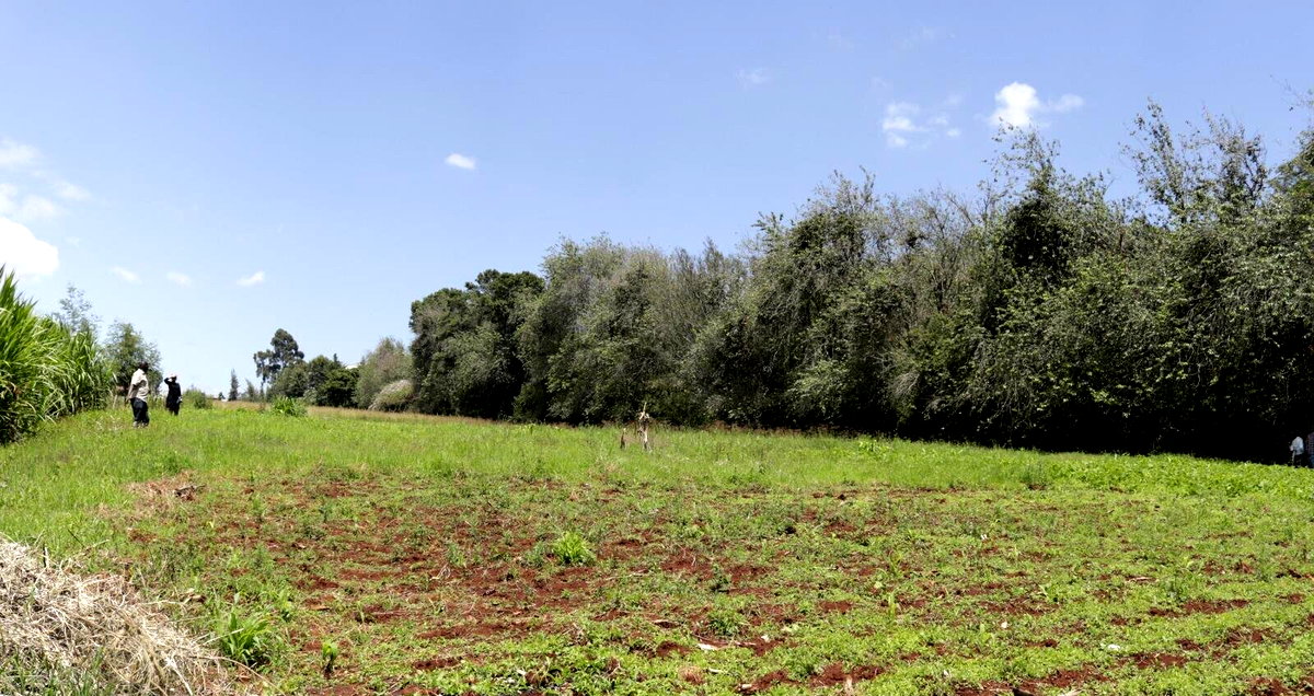 Half Acre Garden Land in Tigoni
