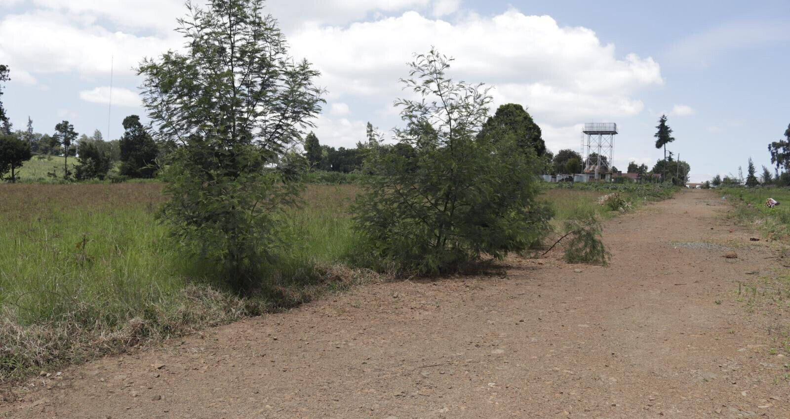 Half Acre Garden Land in Tigoni