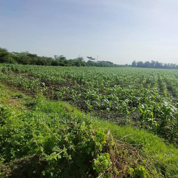 50 Acres for Sale in Kabarak Nakuru