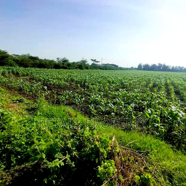 50 Acres for Sale in Kabarak Nakuru