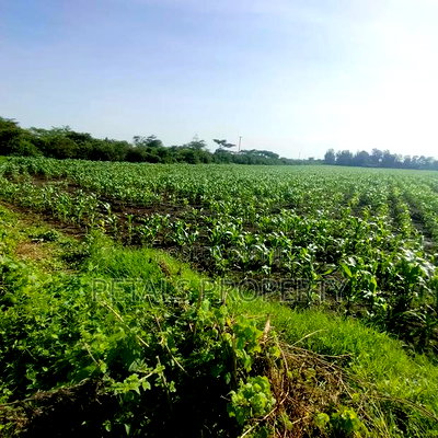 50 Acres for Sale in Kabarak Nakuru - Image 3