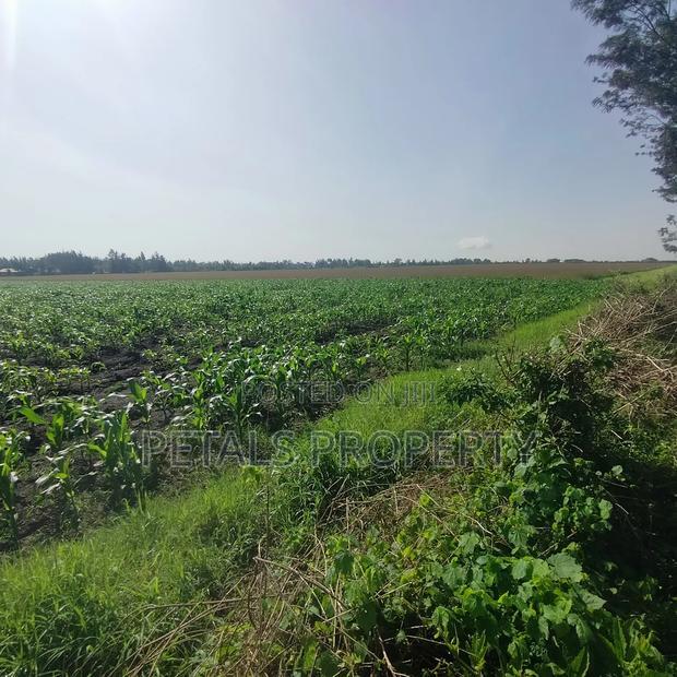 50 Acres for Sale in Kabarak Nakuru
