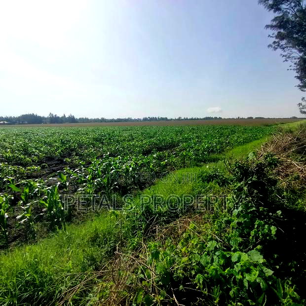 50 Acres for Sale in Kabarak Nakuru